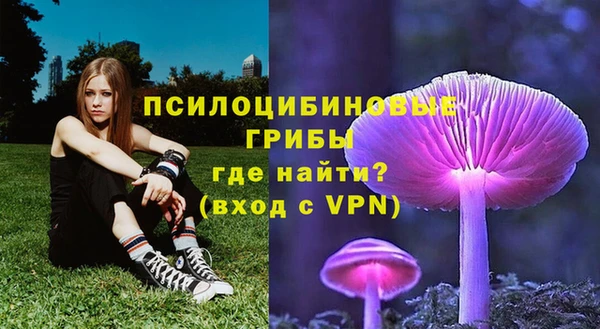 ешки Михайловск