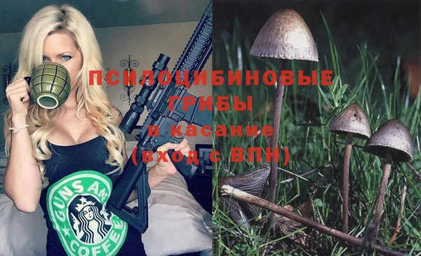 ешки Михайловск